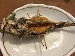 つきじ市場のうまい魚 さわの