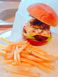 コシキテラス