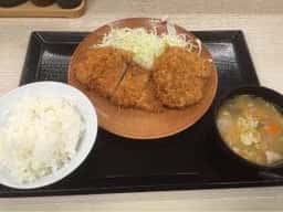 かつや 神奈川座間店