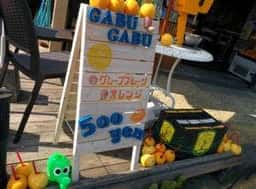 GABU GABU