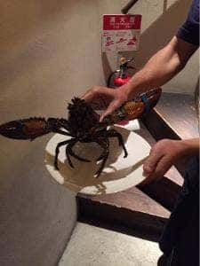 ディグロットタマザワ