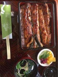 うなぎコジマヤ 本店
