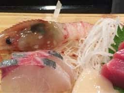 たいしょう