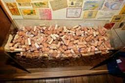 ワインアンドチーズ・プリムール