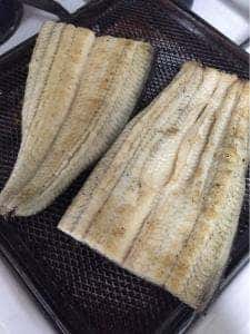 白藤養魚