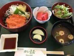 サーモンハウス はらこ茶屋