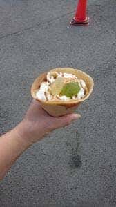 LACTUCA