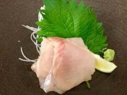 駒ヶ岳温泉