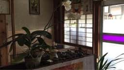 川いだ