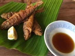 命水苑
