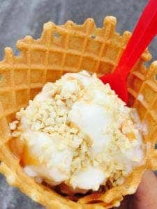 といのドーナツ