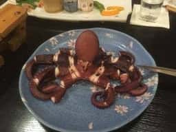 真砂 悠々庵