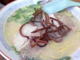 照陽軒