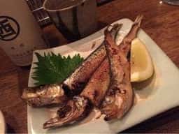 豆ねこ