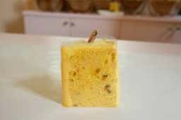 ポンポンダリア
