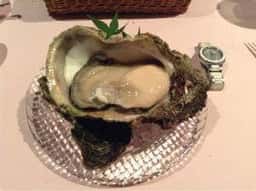 brio ristorante