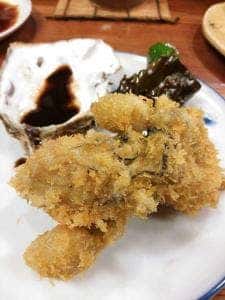 加佐井