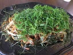 焼きそば 優心