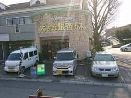 大きな銀杏の木