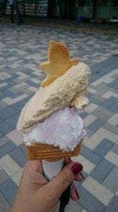 Gelate & Smoothie 道の駅常陸大宮かわプラザ