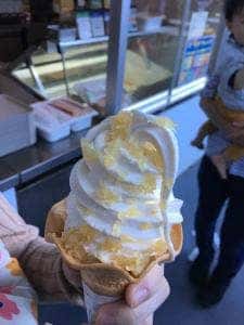 みんなカモーん