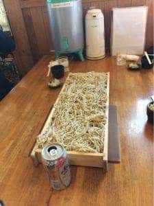日光の庄