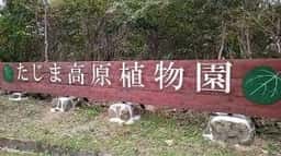 ツリーハウスレストラン 但馬高原植物園
