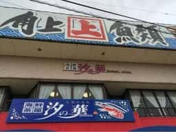 角上魚類