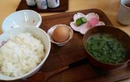 花たまご
