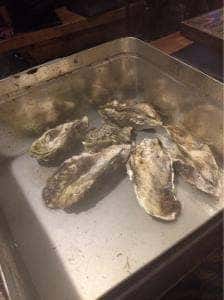 魚居酒屋 あぷちゃ 2号店