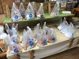 長生たまご館 府中店