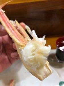 まつ野