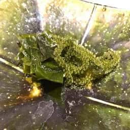 鮨 よしの