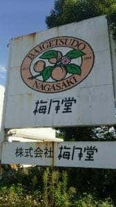 梅月堂 多良見工場