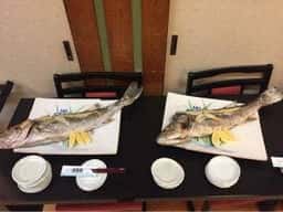 知多海寿司