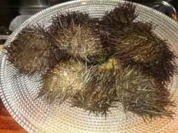産地直送 うに専門店 海栗屋 市川