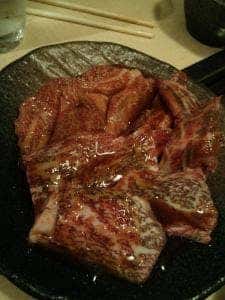 天照杉
