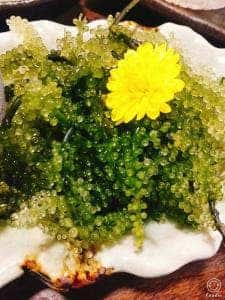 琉球酒場 くわち家
