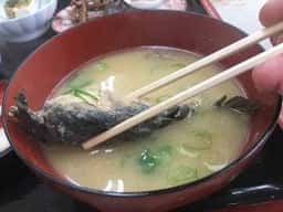 ひこ山食堂