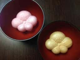京洛辻が花