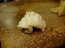 寿し豊永