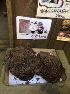 川見茶屋