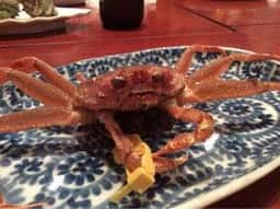 晃栄丸