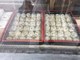 旭家 酒素饅頭製造本舗