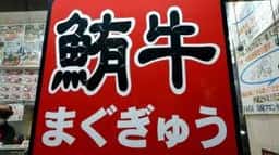 鮪牛