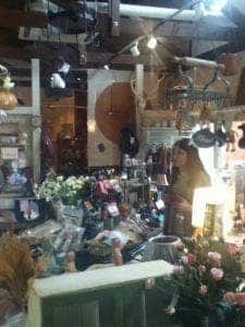 めだか池ギャラリー