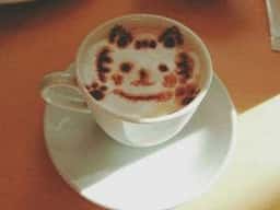 猫カフェねこぐるま