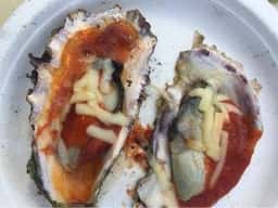 小島水産かき養殖場