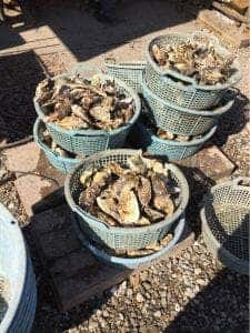 BBQセンター モンキー