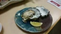 ひよこ宿